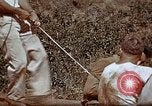Standbild Ranger Combat Training Hawaii USA, 1942, aus Sekunde 60 historischem Filmmaterial Videoclip 65675068517