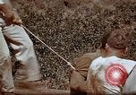 Standbild Ranger Combat Training Hawaii USA, 1942, aus Sekunde 61 historischem Filmmaterial Videoclip 65675068517