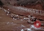Image of Ranger combat training Hawaii USA, 1942, second 27 stock footage video 65675068519