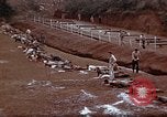 Image of Ranger combat training Hawaii USA, 1942, second 29 stock footage video 65675068519