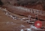 Image of Ranger combat training Hawaii USA, 1942, second 31 stock footage video 65675068519