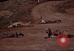 Standbild Ranger Combat Training Hawaii USA, 1942, aus Sekunde 47 historischem Filmmaterial Videoclip 65675068520