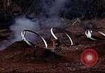 Standbild Ranger Combat Training Hawaii USA, 1942, aus Sekunde 55 historischem Filmmaterial Videoclip 65675068520
