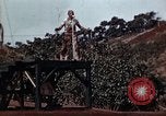 Standbild Ranger Combat Training Hawaii USA, 1942, aus Sekunde 36 historischem Filmmaterial Videoclip 65675068521