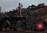 Standbild Ranger Combat Training Hawaii USA, 1942, aus Sekunde 37 historischem Filmmaterial Videoclip 65675068521