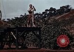 Standbild Ranger Combat Training Hawaii USA, 1942, aus Sekunde 38 historischem Filmmaterial Videoclip 65675068521
