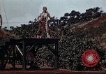 Standbild Ranger Combat Training Hawaii USA, 1942, aus Sekunde 39 historischem Filmmaterial Videoclip 65675068521