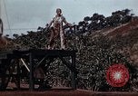 Standbild Ranger Combat Training Hawaii USA, 1942, aus Sekunde 40 historischem Filmmaterial Videoclip 65675068521