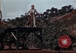 Standbild Ranger Combat Training Hawaii USA, 1942, aus Sekunde 41 historischem Filmmaterial Videoclip 65675068521