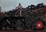 Standbild Ranger Combat Training Hawaii USA, 1942, aus Sekunde 42 historischem Filmmaterial Videoclip 65675068521