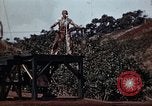 Standbild Ranger Combat Training Hawaii USA, 1942, aus Sekunde 43 historischem Filmmaterial Videoclip 65675068521