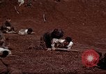 Standbild Ranger Combat Training Hawaii USA, 1942, aus Sekunde 50 historischem Filmmaterial Videoclip 65675068521
