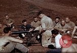 Image Ranger combat training Hawaii USA, 1942, de la seconde 14 séquences d'archives historiques vidéo 65675068522