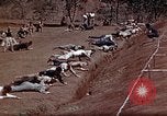 Standbild Ranger Combat Training Hawaii USA, 1942, aus Sekunde 26 historischem Filmmaterial Videoclip 65675068523