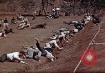 Standbild Ranger Combat Training Hawaii USA, 1942, aus Sekunde 29 historischem Filmmaterial Videoclip 65675068523