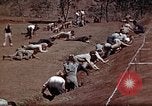 Standbild Ranger Combat Training Hawaii USA, 1942, aus Sekunde 32 historischem Filmmaterial Videoclip 65675068523