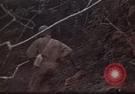 Standbild Ranger Combat Training Hawaii USA, 1942, aus Sekunde 23 historischem Filmmaterial Videoclip 65675068524