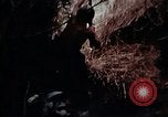 Standbild Ranger Combat Training Hawaii USA, 1942, aus Sekunde 35 historischem Filmmaterial Videoclip 65675068524