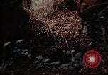 Standbild Ranger Combat Training Hawaii USA, 1942, aus Sekunde 41 historischem Filmmaterial Videoclip 65675068524
