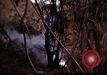 Standbild Ranger Combat Training Hawaii USA, 1942, aus Sekunde 43 historischem Filmmaterial Videoclip 65675068524