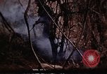 Standbild Ranger Combat Training Hawaii USA, 1942, aus Sekunde 44 historischem Filmmaterial Videoclip 65675068524