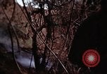 Standbild Ranger Combat Training Hawaii USA, 1942, aus Sekunde 50 historischem Filmmaterial Videoclip 65675068524