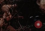 Standbild Ranger Combat Training Hawaii USA, 1942, aus Sekunde 54 historischem Filmmaterial Videoclip 65675068524