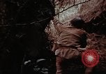 Standbild Ranger Combat Training Hawaii USA, 1942, aus Sekunde 56 historischem Filmmaterial Videoclip 65675068524
