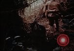 Standbild Ranger Combat Training Hawaii USA, 1942, aus Sekunde 59 historischem Filmmaterial Videoclip 65675068524