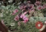 Image of battered women United States USA, 1977, second 54 stock footage video 65675068525