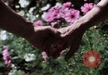 Image of battered women United States USA, 1977, second 55 stock footage video 65675068525
