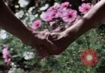 Image of battered women United States USA, 1977, second 56 stock footage video 65675068525
