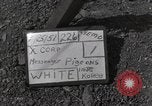 Image of messenger pigeons Korea, 1951, second 1 stock footage video 65675068533
