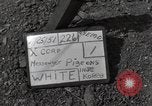 Image of messenger pigeons Korea, 1951, second 3 stock footage video 65675068533