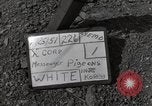 Image of messenger pigeons Korea, 1951, second 4 stock footage video 65675068533