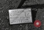 Image of messenger pigeons Korea, 1951, second 5 stock footage video 65675068533