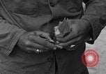 Image of messenger pigeons Korea, 1951, second 43 stock footage video 65675068533