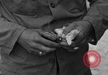 Image of messenger pigeons Korea, 1951, second 45 stock footage video 65675068533