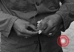 Image of messenger pigeons Korea, 1951, second 46 stock footage video 65675068533