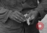 Image of messenger pigeons Korea, 1951, second 47 stock footage video 65675068533