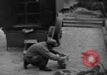 Image of messenger pigeons Korea, 1951, second 52 stock footage video 65675068533