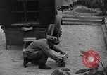 Image of messenger pigeons Korea, 1951, second 53 stock footage video 65675068533
