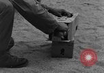 Image of messenger pigeons Korea, 1951, second 56 stock footage video 65675068533