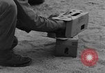 Image of messenger pigeons Korea, 1951, second 58 stock footage video 65675068533
