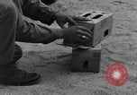 Image of messenger pigeons Korea, 1951, second 60 stock footage video 65675068533