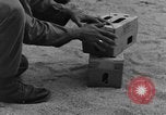 Image of messenger pigeons Korea, 1951, second 61 stock footage video 65675068533
