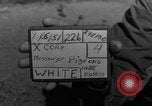 Image of messenger pigeons Korea, 1951, second 1 stock footage video 65675068534