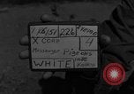 Image of messenger pigeons Korea, 1951, second 3 stock footage video 65675068534