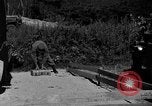 Image of messenger pigeons Korea, 1951, second 10 stock footage video 65675068534
