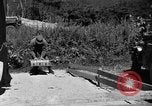 Image of messenger pigeons Korea, 1951, second 11 stock footage video 65675068534